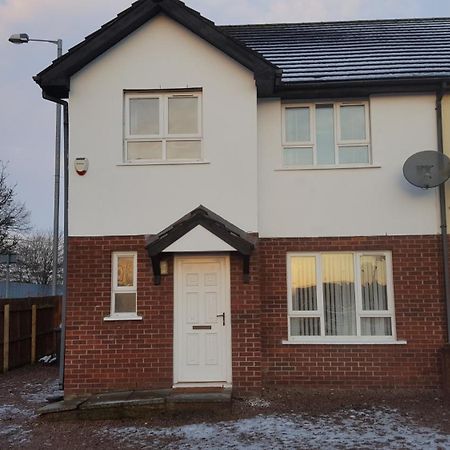 Lawnbrook Town House Hotell Belfast Eksteriør bilde